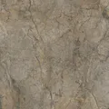 SAVANNA – zdjęcie
