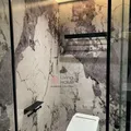 HARDSTONE PANDORA – zdjęcie