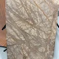 FOREST RED – zdjęcie