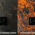 BLEIR – zdjęcie