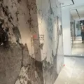 HARDSTONE PANDORA – zdjęcie