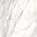 VEIN – zdjęcie
